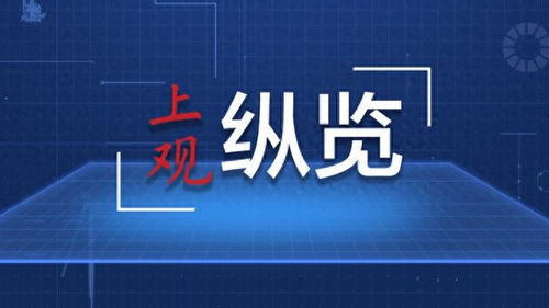 激活數字引擎 中國數字服貿為開放型世界經濟注入新動能